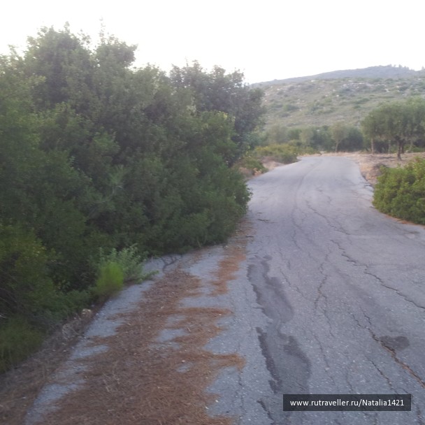 photo 1162610