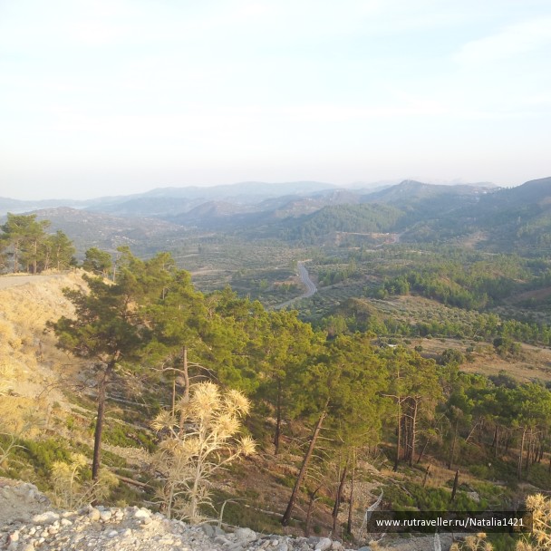 photo 1162611