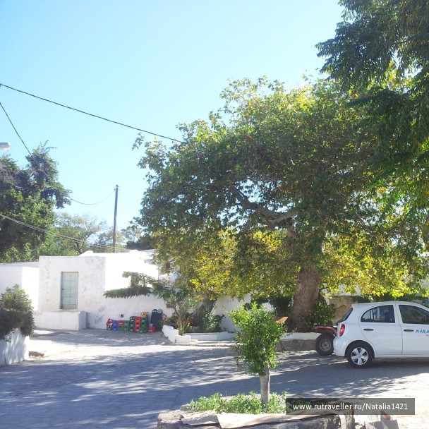 photo 1162628