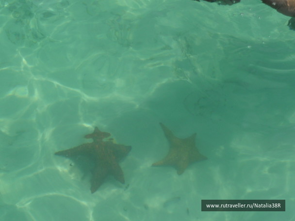 photo 459097