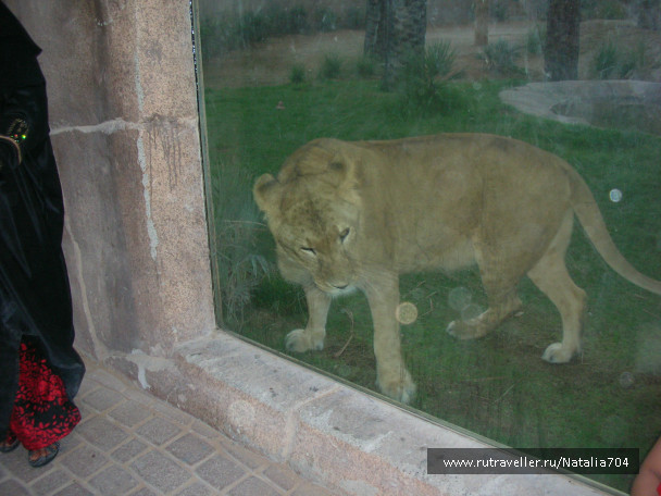photo 619372