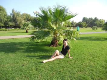 photo 917983