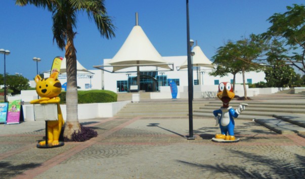 DSCN1338