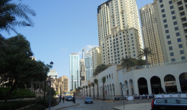 DSCN1429