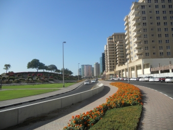 photo 919372