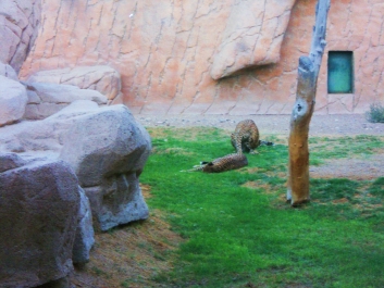 photo 927310