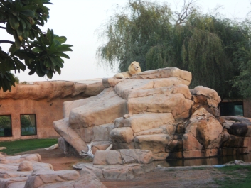 photo 927312