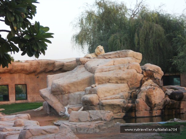 photo 927312