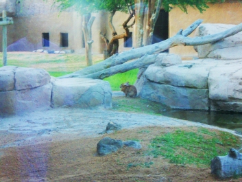 photo 927482