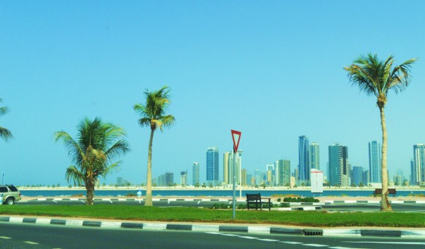 DSCN1337