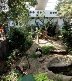 photo 1486771