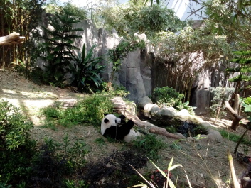 photo 1487449
