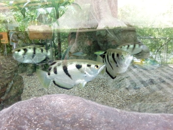 photo 1487451