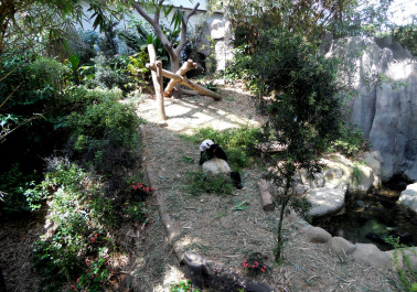 photo 1492003