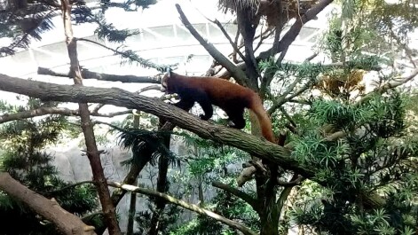 photo 1514317