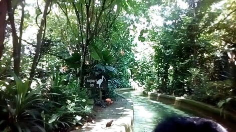 photo 1514950