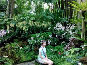 photo 1495622