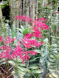photo 1496467