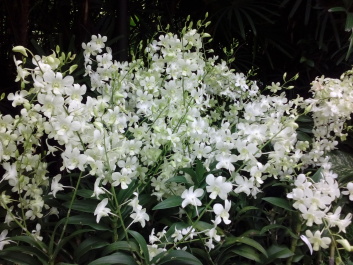 photo 1498479