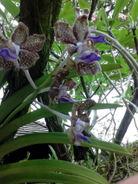 photo 1498482