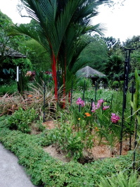 photo 1498484