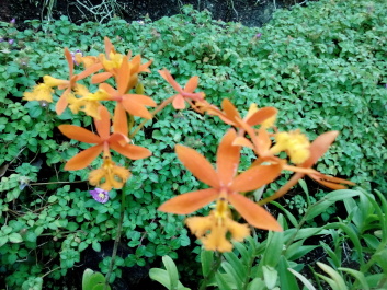 photo 1498487