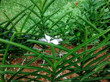 photo 1499322