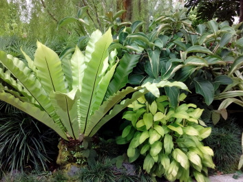 photo 1499325