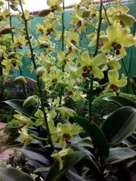 photo 1499715