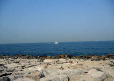 photo 1580769