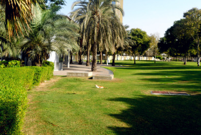 photo 1587919
