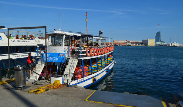 DSC_1117