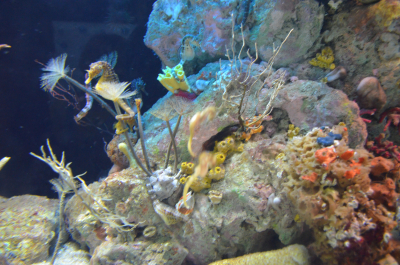 photo 1044216