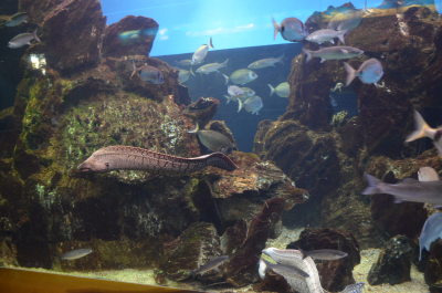 photo 1044224