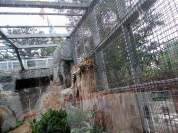 photo 1044434