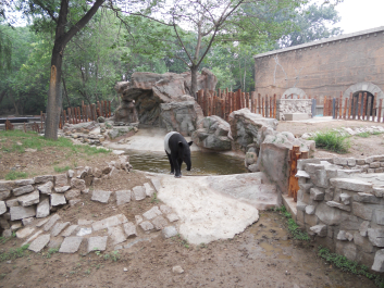 photo 1045059