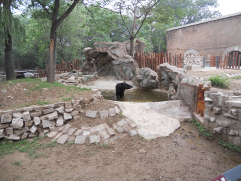photo 1045062