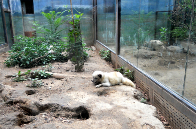 photo 1045065