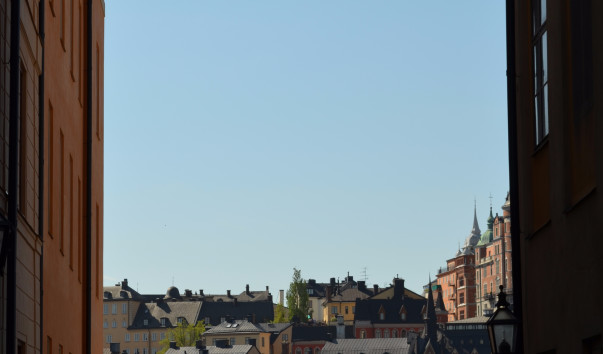 DSC_0516