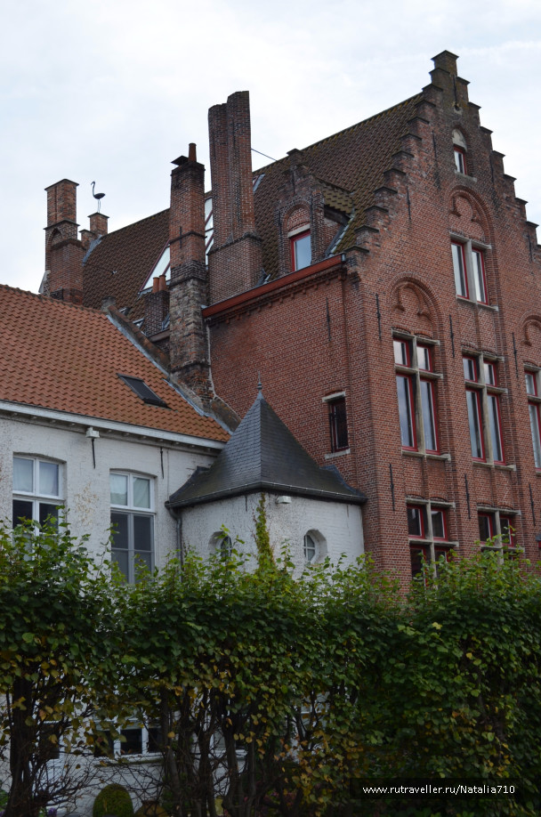 photo 1546993