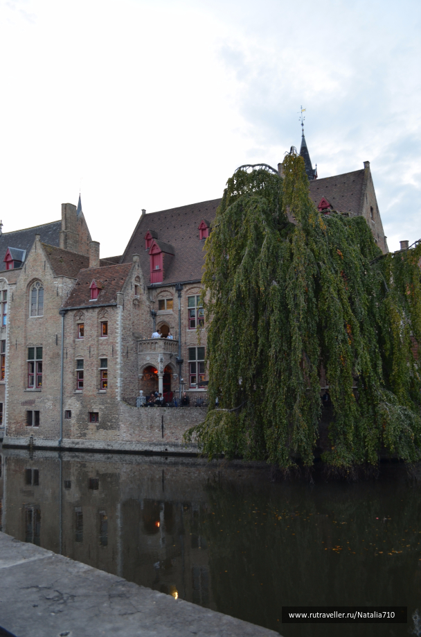 photo 1551246