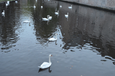 photo 1555128