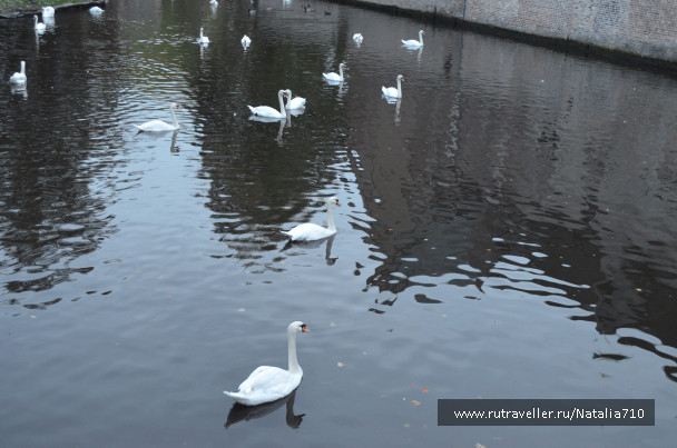 photo 1555128