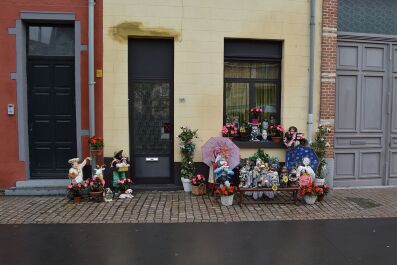 photo 1556127