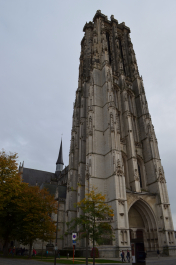 photo 1559377
