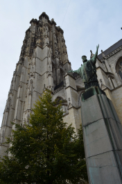 photo 1559378