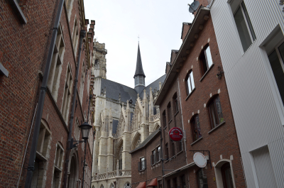photo 1559379