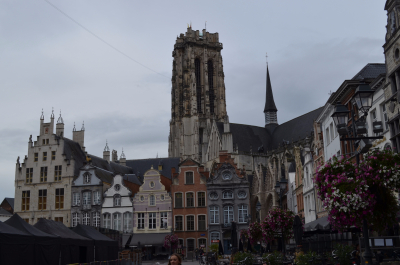 photo 1559384