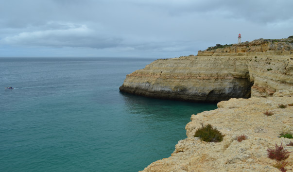 DSC_0767