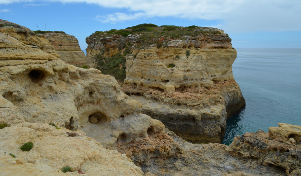 DSC_0765